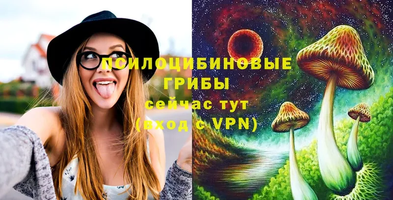 нарко площадка Telegram  Армавир  Галлюциногенные грибы Psilocybine cubensis 